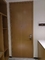 OEM सेवा E1 ग्रेड प्लाईवुड दरवाजा पैनल आंतरिक बेडरूम के दरवाजे फ्लैट